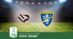 Pronostico Palermo-Frosinone, 2ª Giornata Serie B: Info, Quote e Scommesse
