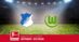 Pronostico Hoffenheim-Wolfsburg, 26ª Giornata Bundesliga: Info, Quote e Scommesse